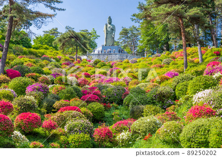 Azalea Garden and Shiobune Heiwa Kannon 89250202