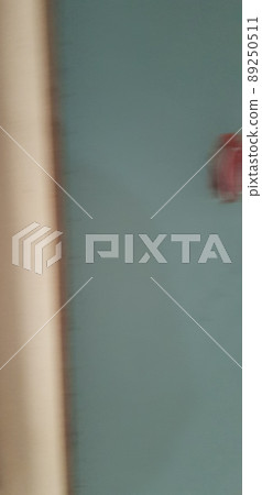 Construction site. Carpenter. Woodworking. Image. Design. Bird egg. Deck. Window frame construction. Construction site. Carpenter. Woodworking. Image. Design. Bird egg. Deck. Window frame construction. 89250511