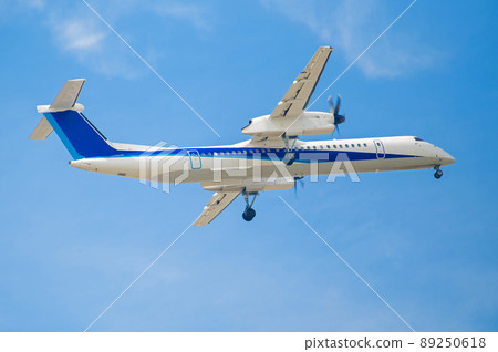 Passenger plane flying over Kasuga Park Passenger plane flying over Kasuga Park 89250618