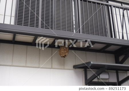 Sparrow Honeycomb-beehive 89251173