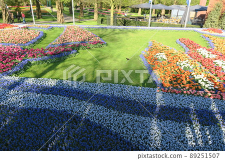 Keukenhof park in the Netherlands Keukenhof park in the Netherlands 89251507