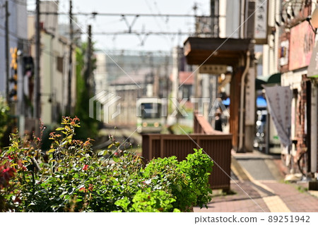 The tram arriving at the bus stop is in focus on the rose flower in the foreground, the rose tree, and the bus stop in the soft blur. 89251942