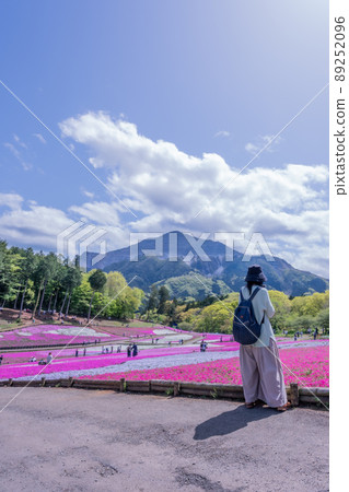 春天的秩父，羊山公園的苔蘚福祿考和年輕相機女孩的背影 89252096