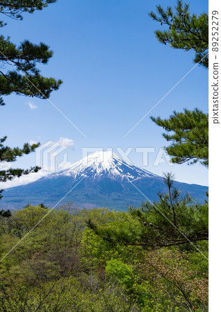 從倉見山頂看的富士山 從倉見山頂看的富士山 89252279