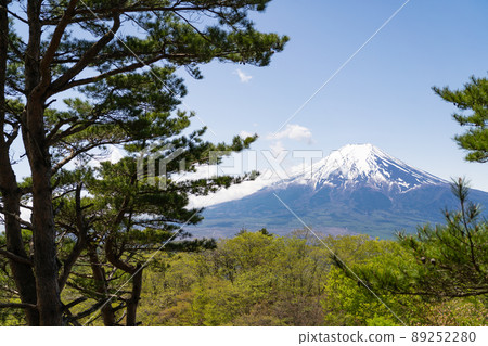 Mt. Fuji seen from the summit of Mt. Kurami 89252280