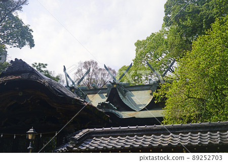 Anaori Miya Ikeda Shrine Main Hall-2 89252703