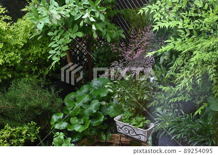 Garden view 89254095