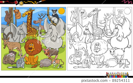 cartoon wild animal characters group coloring book page 89254311