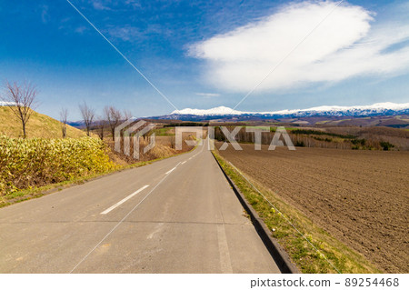筆直的道路和在北部土地上延伸的牧場 89254468