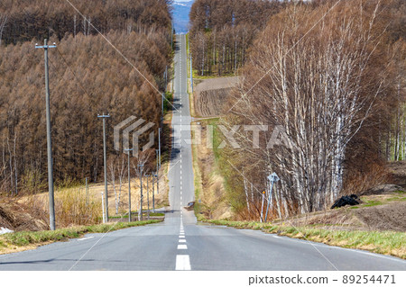 筆直的道路和在北部土地上延伸的牧場 89254471