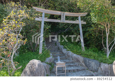 Torii of Shikaumi Shrine 89254512