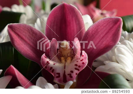 Group of purple vanda orchid and white Chrysanthemums flower background Group of purple vanda orchid and white Chrysanthemums flower background 89254593