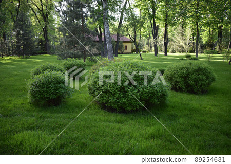 Beautiful Garden with a Freshly Mowed Lawn 89254681