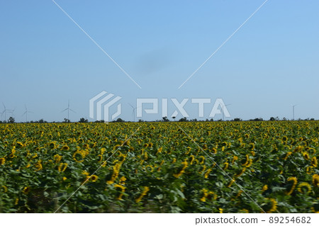 Wind turbines and agricultural field. Energy production, clean and renewable energy. 89254682