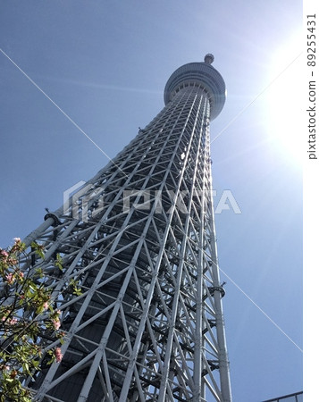 東京天空樹 東京天空樹 89255431