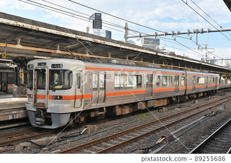 JR Central Japan Railway 313 series 89255686