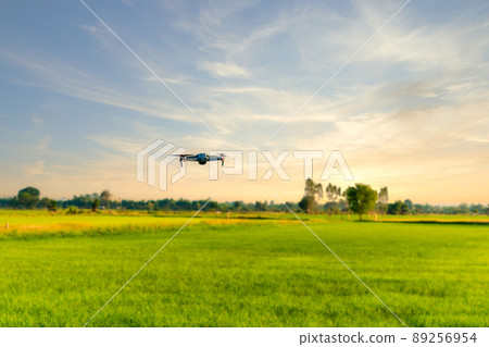 Modern drone to flying explore agriculture crop in rice field at evening Modern drone to flying explore agriculture crop in rice field at evening 89256954