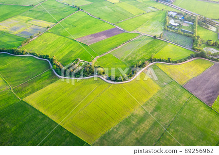 Aerial view of Green rice paddy field, farming cultivation in agricultural land at countryside Aerial view of Green rice paddy field, farming cultivation in agricultural land at countryside 89256962