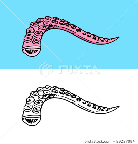 Octopus tentacles. Sea creature. Hand drawn sketch in vintage doodle style. Octopus tentacles. Sea creature. Hand drawn sketch in vintage doodle style. 89257094