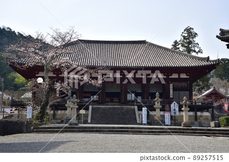 Spring Taimaji Mandala Hall 89257515