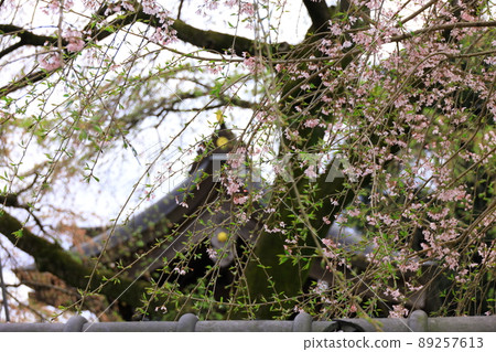 八王子市高槻町圓通寺 89257613