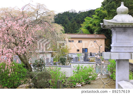 八王子市高槻町圓通寺 89257619
