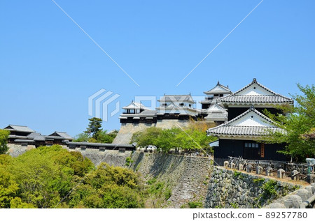 Matsuyama Castle Large castle tower, small castle tower, Tamon turret, South corner turret, Inuimon east turret, Inui turret, Horse turret Matsuyama Castle Large castle tower, small castle tower, Tamon turret, South corner turret, Inuimon east turret, Inui turret, Horse turret 89257780