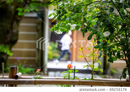 上郡神社,玫瑰花盛開的地區和京都安靜的街角風景 上郡神社,玫瑰花盛開的地區和京都安靜的街角風景 89258176
