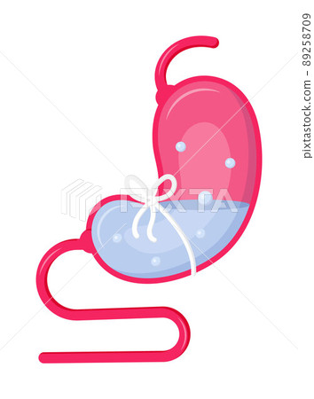Stomach icon vector, Symbol of gut flora in healthy stomach 89258709