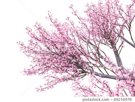 3D Blooming Sakura branches 3D Blooming Sakura branches 89258976