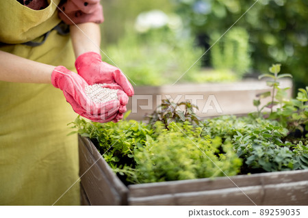 Gardener holds in hands mineral fertilizing, close-up 89259035