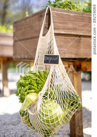 Mesh bag full of fresh vegetables hanging at home garden Mesh bag full of fresh vegetables hanging at home garden 89259069