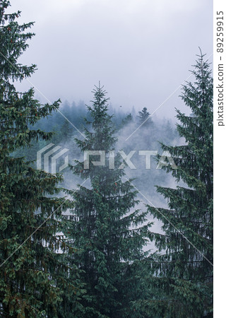 Misty mountain landscape Misty mountain landscape 89259915