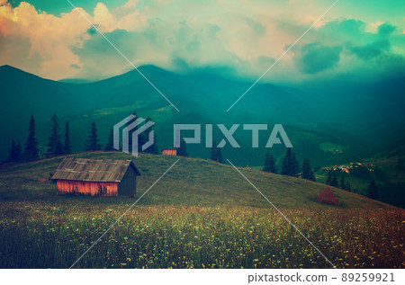 Carpathian mountain landscape Carpathian mountain landscape 89259921