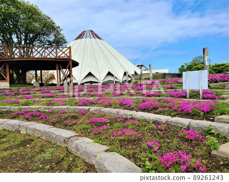 和泉市立鶴館 鶴園 和泉庭園 和泉市立鶴館 鶴園 和泉庭園 89261243