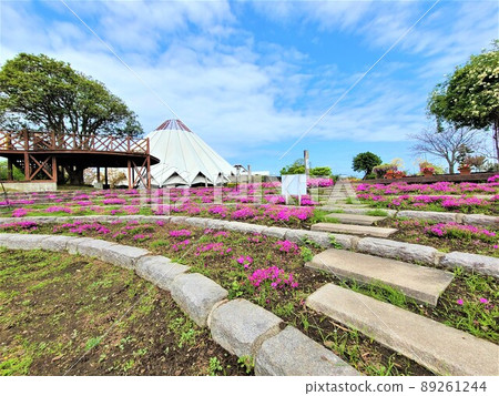 和泉市立鶴館 鶴園 和泉庭園 和泉市立鶴館 鶴園 和泉庭園 89261244
