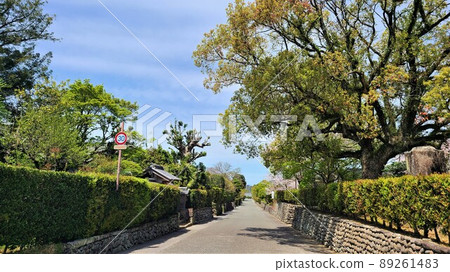Izumi-Fumoto samurai residences Takezoe residence Surrounding scenery Around the time of fresh green Izumi-Fumoto samurai residences Takezoe residence Surrounding scenery Around the time of fresh green 89261483