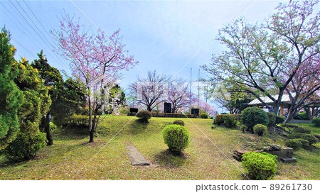Izumi Special Attack Monument Park When the cherry blossoms fall (Special Attack Corps sortie site: 260 to the south) Heiwa-cho, Izumi City, Kagoshima Prefecture Izumi Special Attack Monument Park When the cherry blossoms fall (Special Attack Corps sortie site: 260 to the south) Heiwa-cho, Izumi City, Kagoshima Prefecture 89261730
