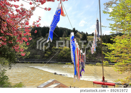 路站白鷹矢名公園鯉魚流光 路站白鷹矢名公園鯉魚流光 89261972