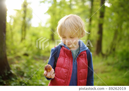 Preschooler child pick the edible mushroom during walk in the forest with his parent. Glad boy having fun during forest hike 89262019