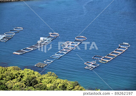 Scenery from Hario Park Cultured raft group (Japanese fishing: the future is here!) Takanosu, Nagashima-cho, Izumi-gun, Kagoshima Prefecture 89262197