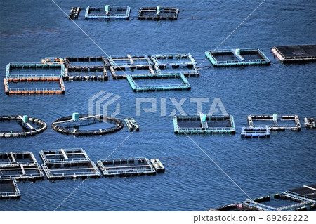 鹿兒島縣和泉郡長島町高野須，Hario 公園風景養殖筏群（日本釣魚：未來已來！） 89262222