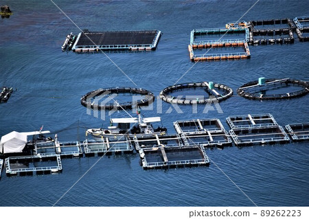 Scenery from Hario Park Farming rafts (related to food security) Takanosu, Nagashima-cho, Izumi-gun, Kagoshima Prefecture 89262223