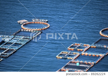 Scenery from Hario Park Cultured raft group (Japanese fishing: the future is here!) Takanosu, Nagashima-cho, Izumi-gun, Kagoshima Prefecture 89262224