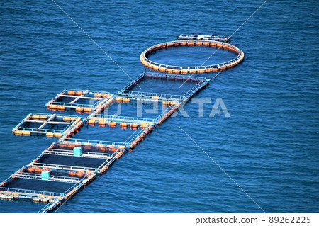Scenery from Hario Park Cultured raft group (Japanese fishing: the future is here!) Takanosu, Nagashima-cho, Izumi-gun, Kagoshima Prefecture Scenery from Hario Park Cultured raft group (Japanese fishing: the future is here!) Takanosu, Nagashima-cho, Izumi-gun, Kagoshima Prefecture 89262225