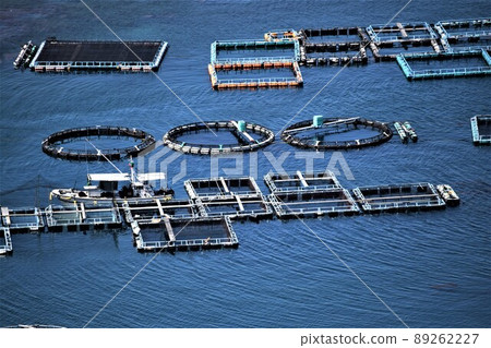 Scenery from Hario Park Cultured raft group (Japanese fishing: the future is here!) Takanosu, Nagashima-cho, Izumi-gun, Kagoshima Prefecture 89262227
