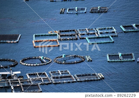Scenery from Hario Park Cultured raft group (Japanese fishing: the future is here!) Takanosu, Nagashima-cho, Izumi-gun, Kagoshima Prefecture 89262229