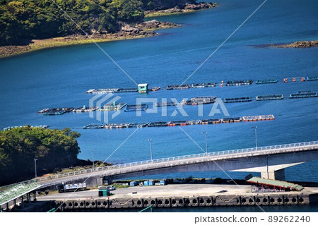 Scenery from Hario Park Cultured raft group (Japanese fishing: the future is here!) Takanosu, Nagashima-cho, Izumi-gun, Kagoshima Prefecture Scenery from Hario Park Cultured raft group (Japanese fishing: the future is here!) Takanosu, Nagashima-cho, Izumi-gun, Kagoshima Prefecture 89262240