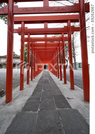 Yakyu Inari Shrine in Higashimatsuyama City, Saitama Prefecture Yakyu Inari Shrine in Higashimatsuyama City, Saitama Prefecture 89262667