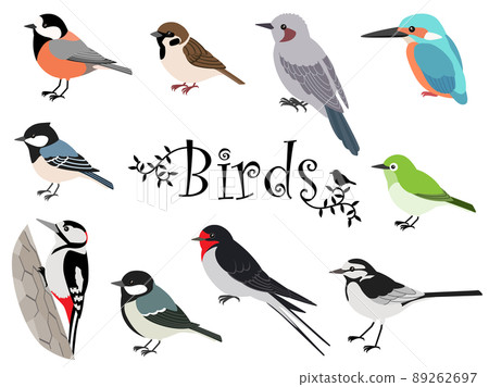 Cute Japanese wild bird illustration set Cute Japanese wild bird illustration set 89262697